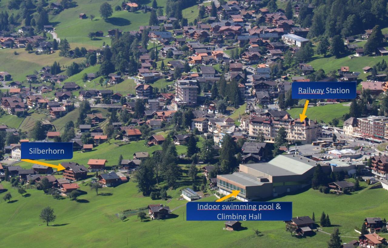 Appartement Silberhorn à Grindelwald Extérieur photo