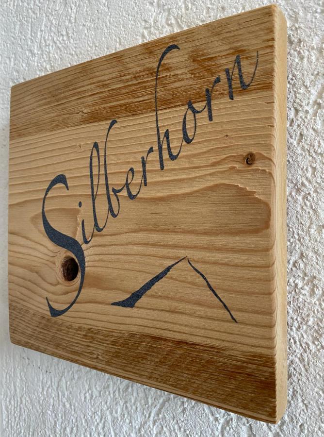 Appartement Silberhorn à Grindelwald Extérieur photo